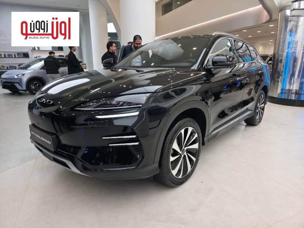 اسعار صيانات بي واي دي سي ليون 6 الكهربائية في مصر – حتي 300 الف كم 