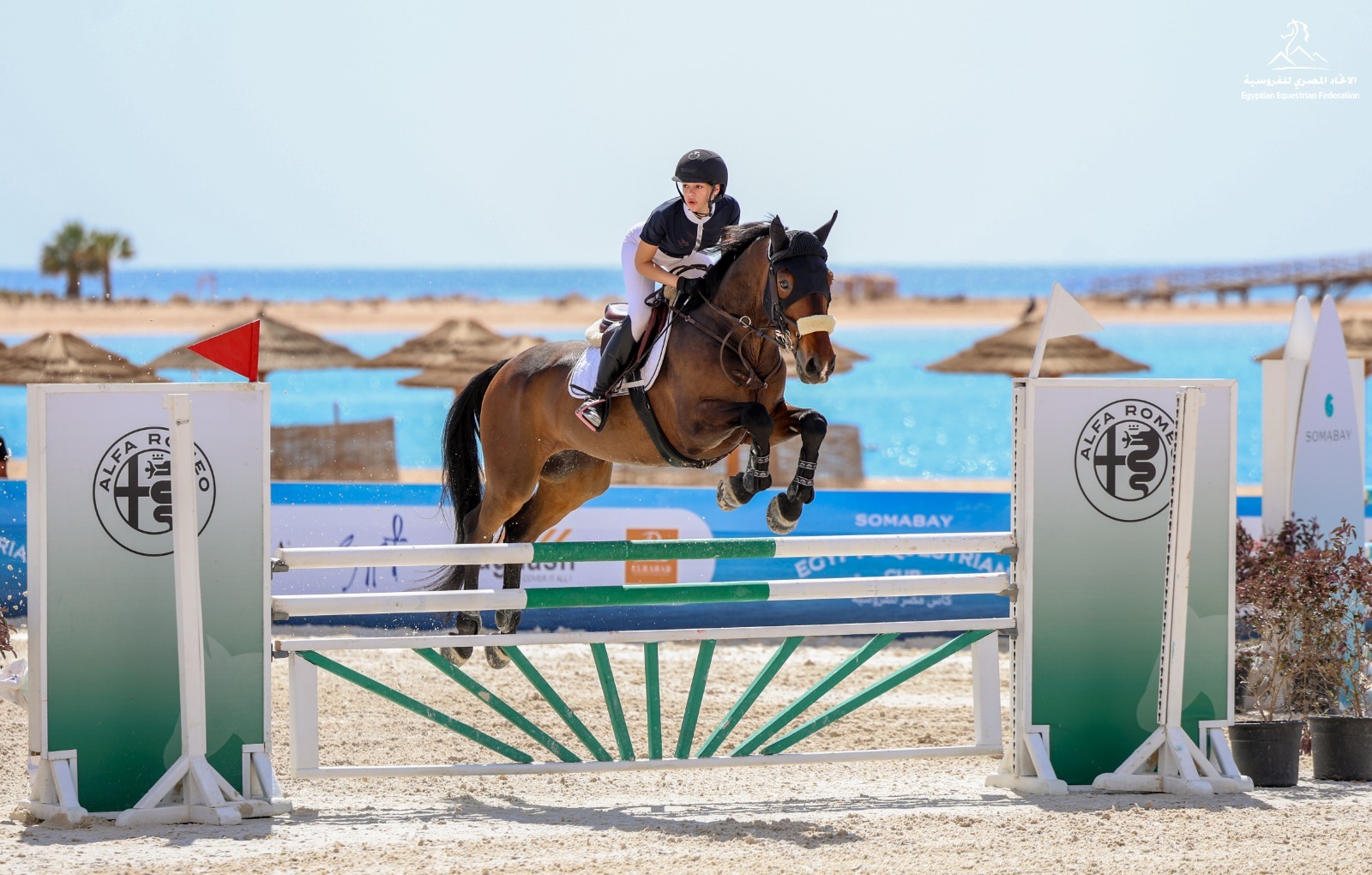 جيب و الفاروميو ترعيان بطولة كأس مصر للفروسية 2026 في سوما باي 