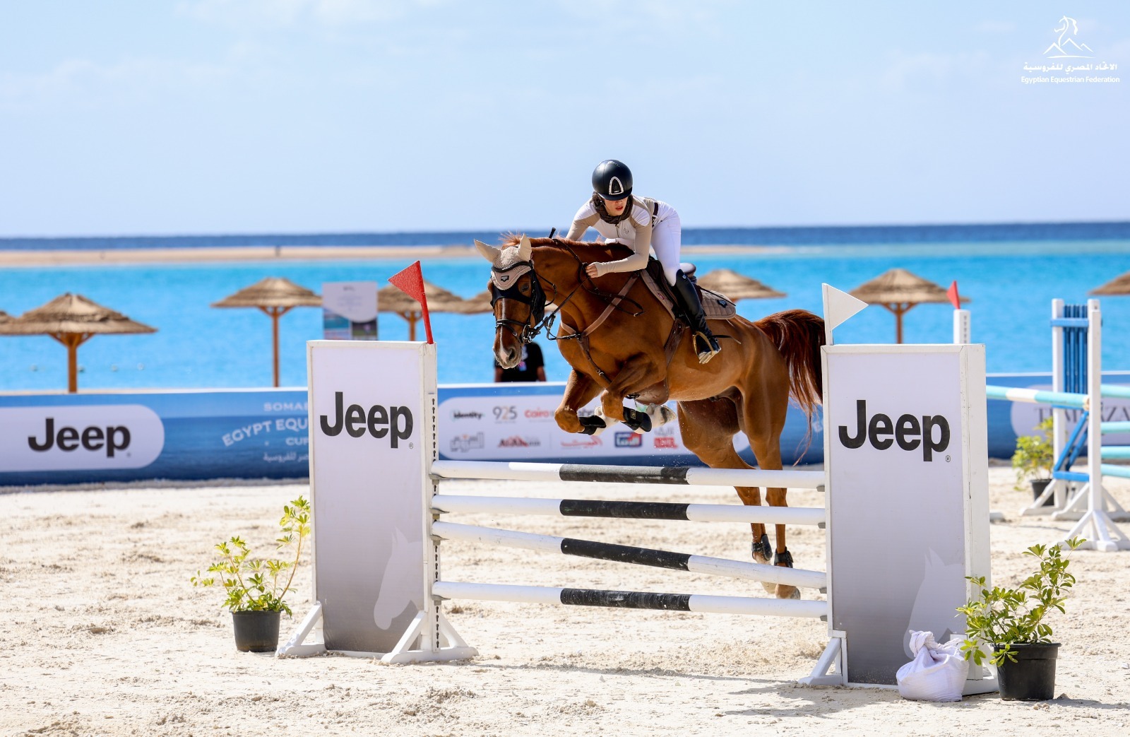 جيب و الفاروميو ترعيان بطولة كأس مصر للفروسية 2026 في سوما باي 