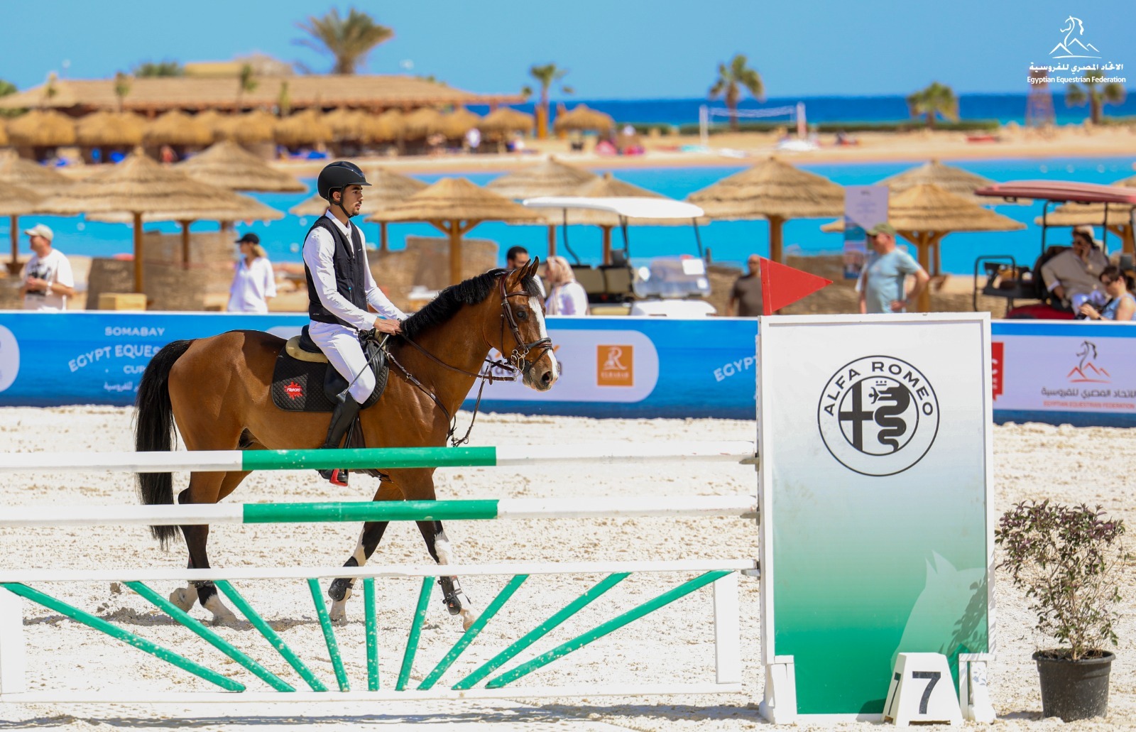 جيب و الفاروميو ترعيان بطولة كأس مصر للفروسية 2026 في سوما باي 